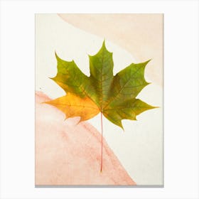 Maple Leaf Canvas Print