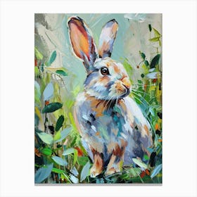 English Silver Rabbit Painting 3 Canvas Print