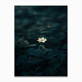 Lotus Flower 39 Canvas Print