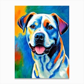 American Staffordshire Terrier 2 Fauvist Style dog Canvas Print