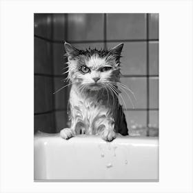 Cat In The Bath 1 Canvas Print