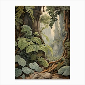 Vintage Jungle Botanical Illustration Philodendron 4 Canvas Print