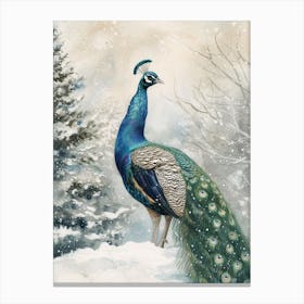 Watercolour Peacock In The Snow Canvas Print