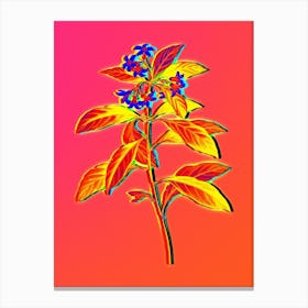 Neon Sweet Pittosporum Branch Botanical in Hot Pink and Electric Blue n.0422 Canvas Print