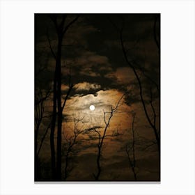 Full Moon In The Forest Canvas Print