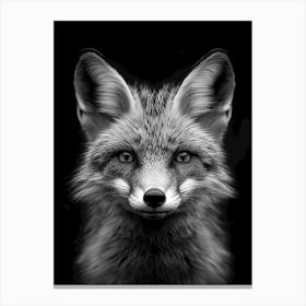 Portrait Of A Fox Canvas Print