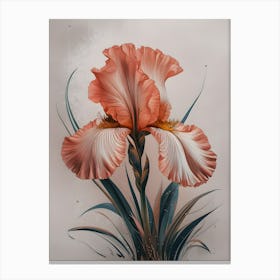 IRIS Canvas Print