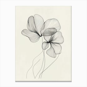 Lily Of The Valley 9 Canvas Print