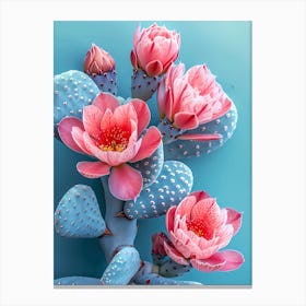 Cactus Flower blue and pink Canvas Print