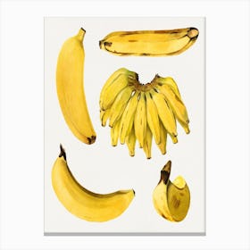 Bananas 1 Canvas Print