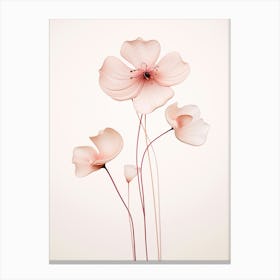 Poppy Passion: Bold Floral Print Canvas Print