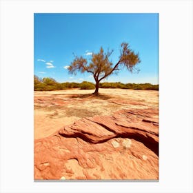 A Tree Of The Outback Canvas Print