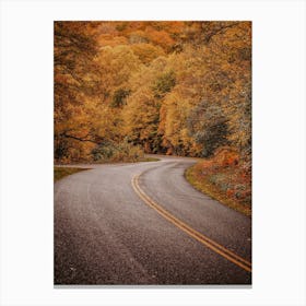 New England Forest Road Canvas Print