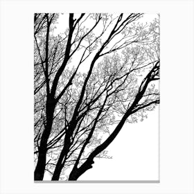 Black And White Tree Silhouette Canvas Print