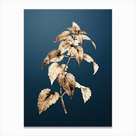 Gold Botanical White Dead Nettle Plant on Dusk Blue n.1566 Canvas Print