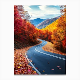 Beautiful Road In Autumn 13 Canvas Print