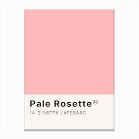 Pale Rosette Canvas Print