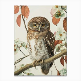 Northern Pygmy Owl Japanese Painting 3 Canvas Print
