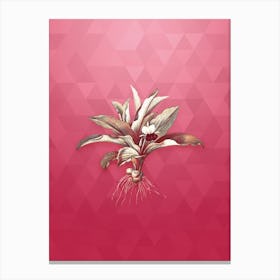 Vintage Kaempferia Angustifolia Botanical in Gold on Viva Magenta n.0911 Canvas Print