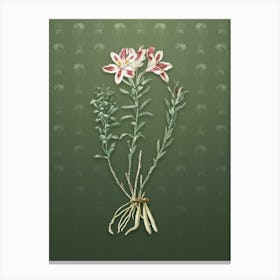 Vintage Lily of the Incas Botanical on Lunar Green Pattern n.0255 Canvas Print