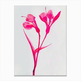 Hot Pink Heliconia 1 Canvas Print