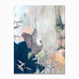 Brown Pelican Bird Canvas Print