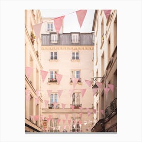 Pink Paris Street View Canvas Print