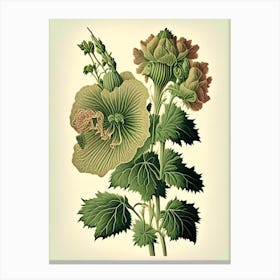 Hollyhock Wildflower Vintage Botanical 1 Canvas Print