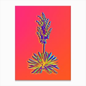 Neon Adam's Needle Botanical in Hot Pink and Electric Blue n.0341 Canvas Print