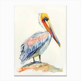 Pelican Colourful Watercolour 4 Canvas Print