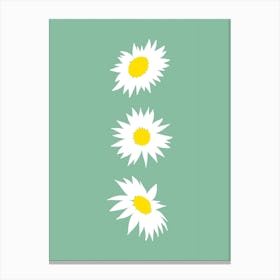 Daisy Line on Sage Green Canvas Print