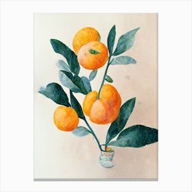 Orange Tree Branch In A Vase Canvas Print