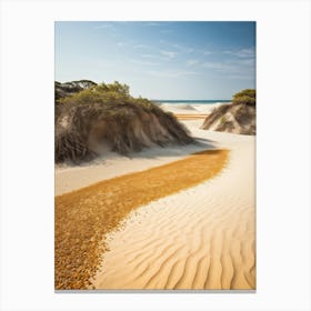 Sand Dunes On The Beach Canvas Print