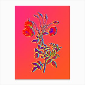 Neon Red Rose Botanical in Hot Pink and Electric Blue n.0027 Canvas Print
