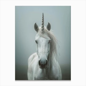 White Unicorn 4 Canvas Print