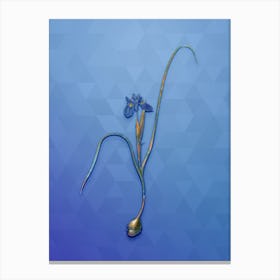 Vintage Barbary Nut Botanical Art on Blue Perennial n.0417 Canvas Print