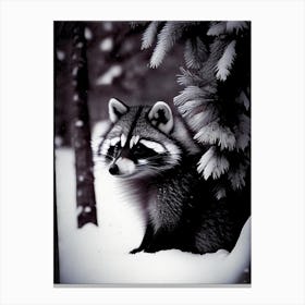 Raccoon In Snow 2 Vintage Canvas Print