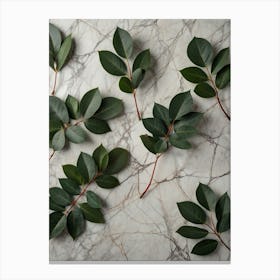 Eucalyptus Leaves On Marble Canvas Print