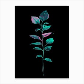 Leaf On A Black Background 1 Canvas Print