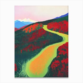 Fuji Hakone Izu National Park 1 Japan Abstract Colourful Canvas Print