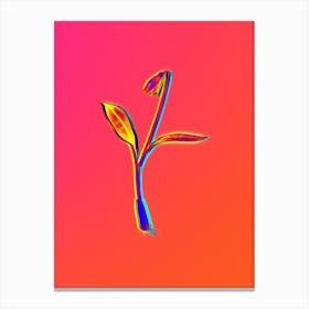 Neon Erythronium Botanical in Hot Pink and Electric Blue n.0368 Canvas Print