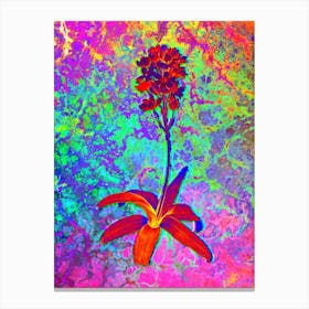 Sun Star Botanical in Acid Neon Pink Green and Blue n.0342 Canvas Print