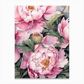 Pink Peonies Canvas Print