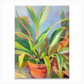 Maranta Impressionist Painting Plant Canvas Print
