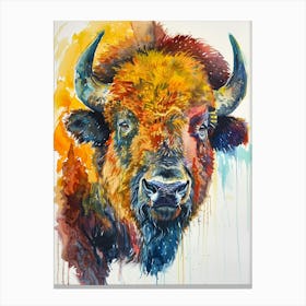 Buffalo Colourful Watercolour 1 Leinwandbild