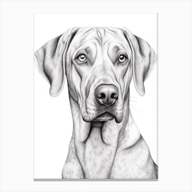 Rhodesian Ridgeback Dog, Line Drawing 4 Canvas Print