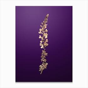 Gold Botanical Adenocarpus on Royal Purple n.2788 Canvas Print