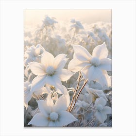 Frosty Botanical Poinsettia 5 Canvas Print