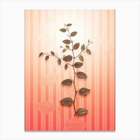 Christ's Thorn Vintage Botanical in Peach Fuzz Awning Stripes Pattern n.0312 Canvas Print