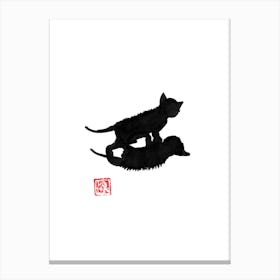 Cat Shadow Canvas Print
